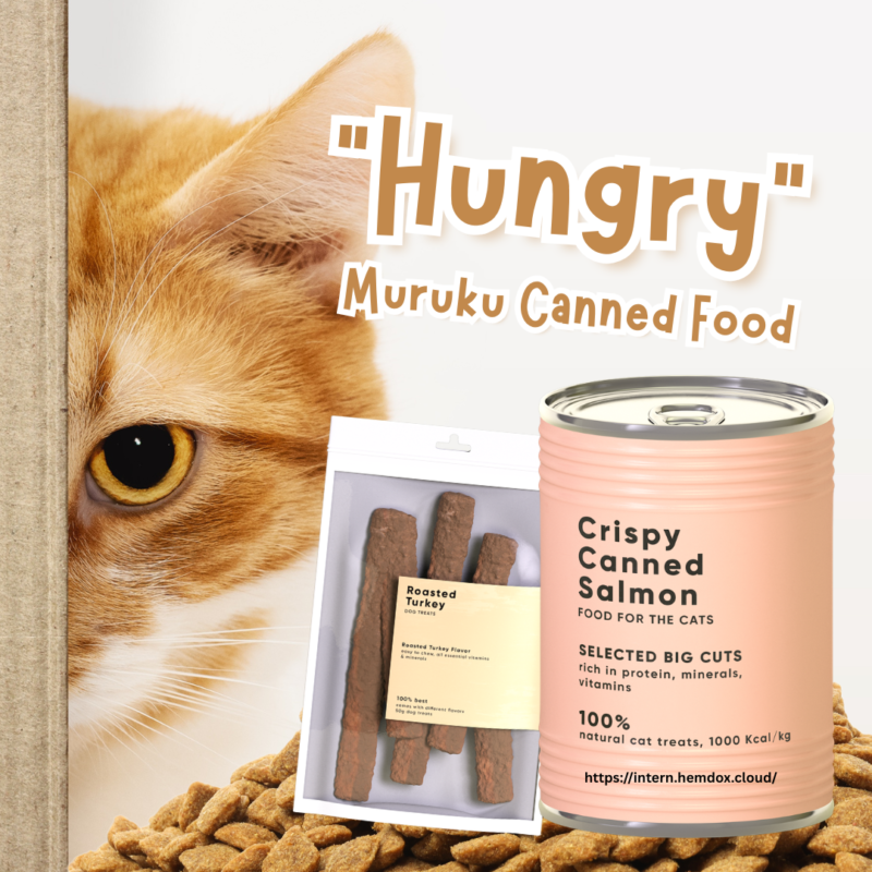 Cat Snacks meal